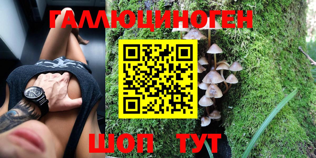 Галлюциногенные грибы прущие грибы  продажа наркотиков  Гуково  Вход с VPN  Галлюциногенные грибы прущие грибы 